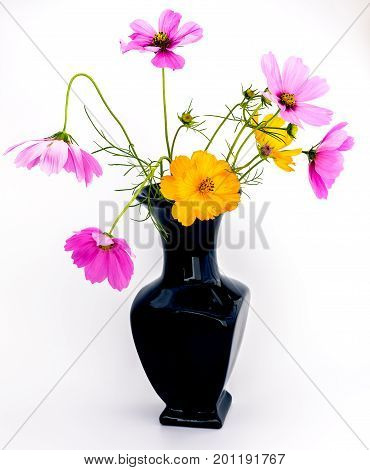Black vase with a bouquet of purple and orange wild flowers isolated on a white background.