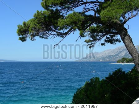 Costa adriatica