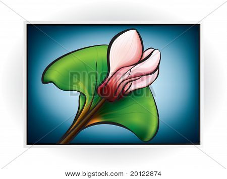 핑크 시 클 라 멘 꽃