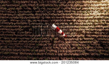 Aerial Top View Windsock on The Corn Farm Harvest Season