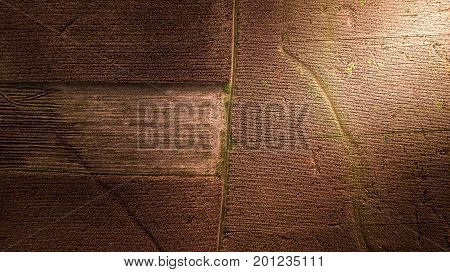 Aerial photography Pattern on the Earth Field Corn Farm Abstract Harvest Season