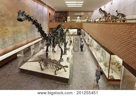MOSCOW RUSSIA - AUGUST 20 2017: Skeletons of dinosaurs at Paleontological Museum. The museum is named after Yuri Orlov (1893-1966).