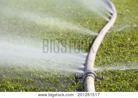 wasting water - water leaking from hole in a hose