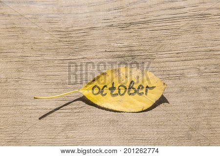 Yellow Sheet With The Inscription October