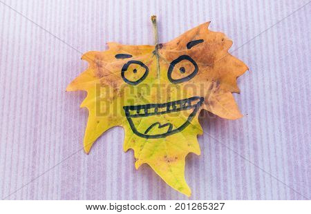Yellow Leaf With A Funny Face
