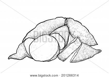 Hand drawing of Sweet Potato. Black and White simple line Vector Illustration for Coloring Book - Line Drawn Vector