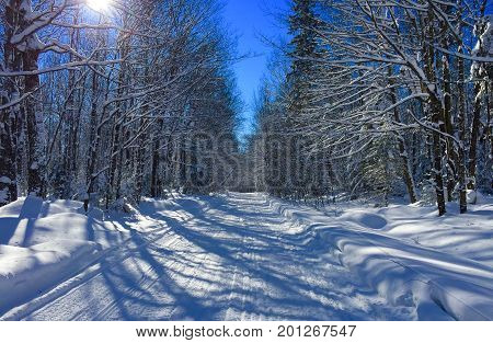 Sun creates tree lines on a snow covered trail