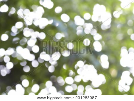 Blur Natural And Light Background