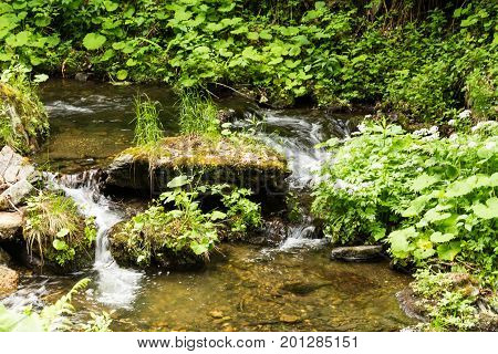 Azure pond. Natural lake in beautiful forest