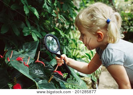 Portrait of cute adorable white Caucasian girl looking at plants flowers anthurium through magnifying glass. Child with loupe studying learning nature in garden. Early development education concept.