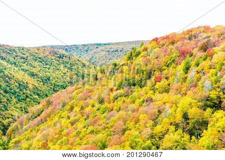 Allegheny Mountains In West Virginia Autumn With Red And Golden Trees