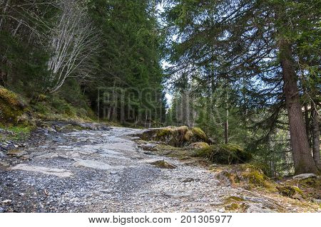 Panoramic view of Alps the highest and most extensive mountain range system that lies entirely in Europe