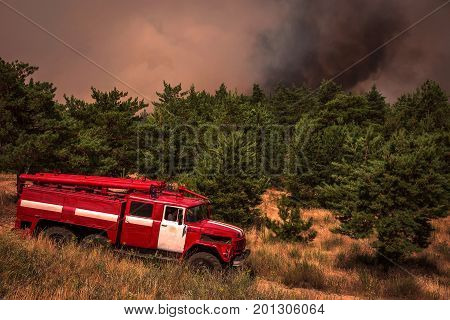fire truck to put out a forest fire. firefighters to extinguish the fire. wildfire