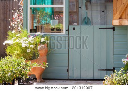 Gardeners paradise with stunning flowers and plants glowing in pots near a potting shed