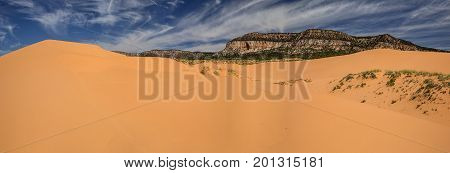 Panorama of the Coral Pink Sand Dunes near Kanab Utah.