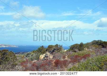 Terrestrial paradise in the Mediterranean. Archipelago of Maddalena, Caprera Island. Corner of the picturesque paradise in the Mediterranean Sea, natural park and pristine with lovely beaches, clear and blue sea with special rocks and mountains