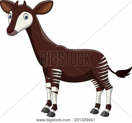 Vector illustration of Cartoon okapi isolated on white background