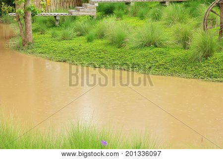 Rural cannal with the nature is beauitful