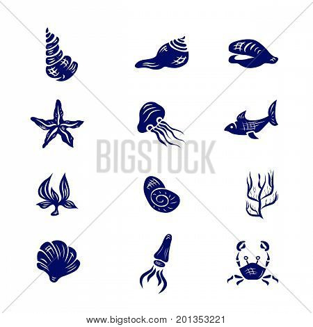 Illustration Vector icon set of elements of marine life. Underwater World collection. Icons and symbols hand-drawn