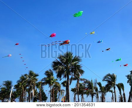 Colorful Kites During Beach Festival