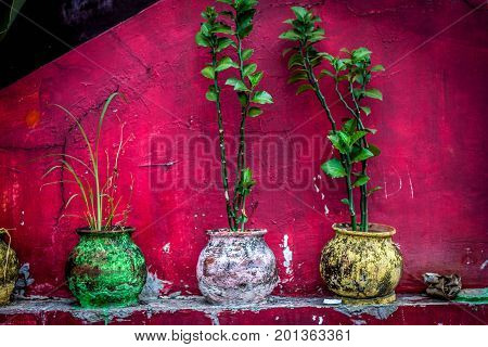 a beautifull colourfull pot at jogja yogyakarta indonesia java