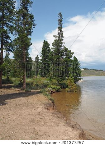 A small clearing by the Granby Lake in Colorado. There are evergreen trees. The sky overhead is bright blue with white puffy clouds.