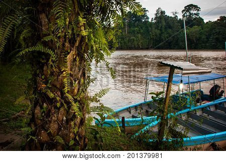 Kinabatangan River, Borneo, Sabah Malaysia. Evening Landscape Of Trees, Water And Boats.