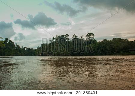 Kinabatangan River, Rainforest Of Borneo Island, Sabah Malaysia. Evening Landscape Of Trees Near The