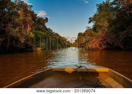Wooden Boat Floating On The River Kinabatangan And Dense Tropical Forest. Sabah, Borneo, Malaysia