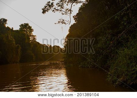 Kinabatangan River, Rainforest Of Borneo Island, Sunset. Sabah Malaysia