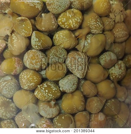 Caper (capparis Spinosa) Fruit Food