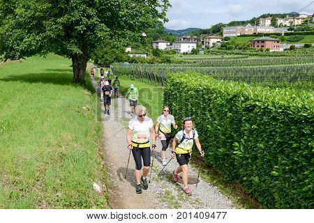 People During The Walking Contest Of Mendrisio On Switzerland