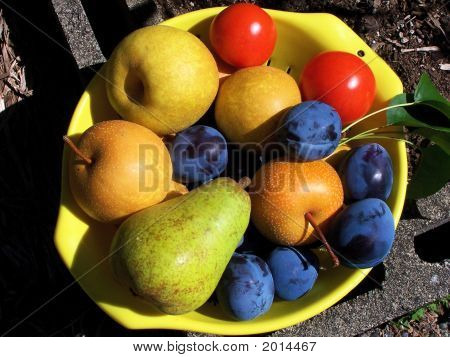 Colheita da fruta saudável