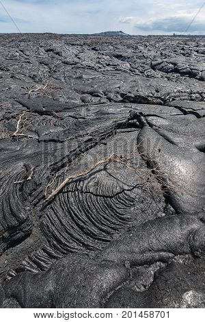 Lava Field In Hawaii