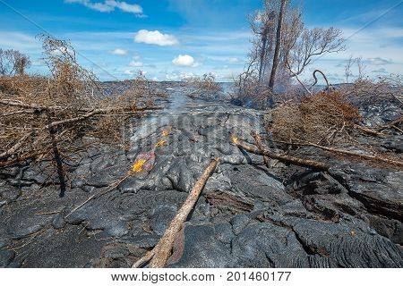 Lava Destroy Forest In Hawaii