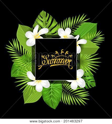 Summer Card with Frangipani Flowers and Green Tropical Leaves - Illustration Vector