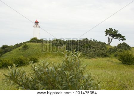 Lighthouse and green meadows on small german island Hiddensee