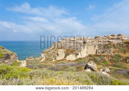 Ruins of the crusader fortress of the city Arsour in Israel. Dunes on the shore of the Mediterranean sea. Spring flowers in the Israeli Apollonia national park.
