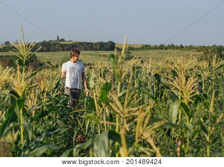 Young farmer walking on field during harvest at organic eco farm.