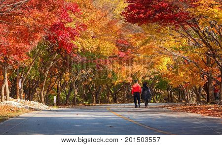 Naejangsan National Park In Autumn With Tourist, South Korea.