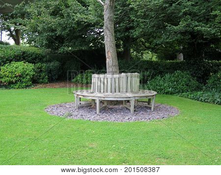 Wooden circular bench around tree in garden on banks of River Thames in Caversham Berkshire England