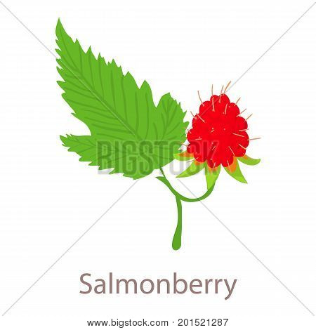 Salmonberry icon. Isometric illustration of salmonberry vector icon for web