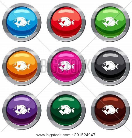 Surgeon fish set icon isolated on white. 9 icon collection vector illustration