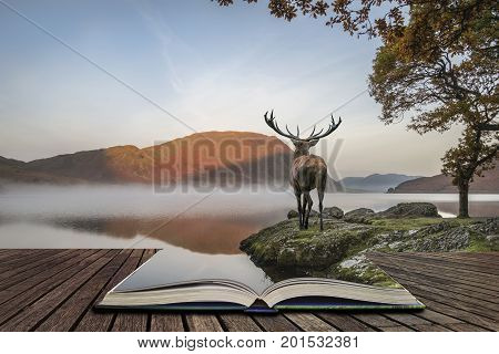 Stunning Powerful Red Deer Stag Looks Out Across Lake Towards Mountain Landscape In Autumn Scene Con
