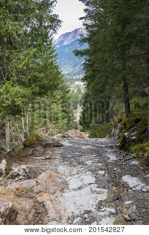 The of mountain in Alps the highest and most extensive mountain range system that lies entirely in Europe
