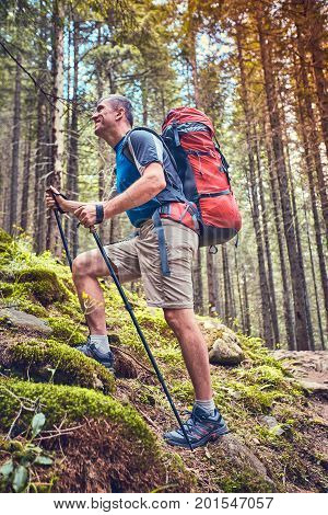 Summer hike in the mountains with a backpack and tent.