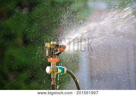 Lawn sprinkler spaying water over green grass. Irrigation system. backlight