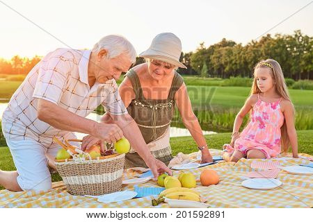 Seniors with grandchild having picnic. People and fruit basket. Eating habits for longevity.