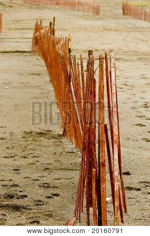 sand fence - journey