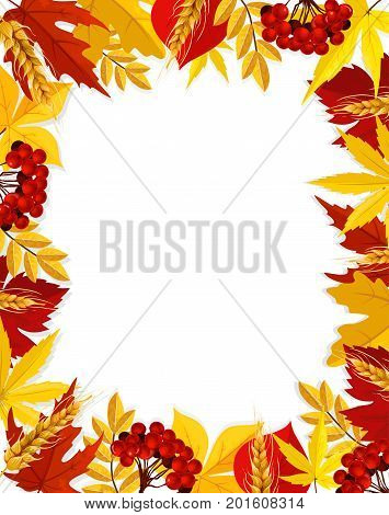 Autumn poster template with blank space and foliage frame of maple, poplar or chestnut and birch leaf, oak acorn and rowan berry. Vector wheat and rye harvest in falling leaves for autumn greeting